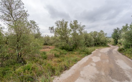 Petita finca sense edificació i bon accés (352)