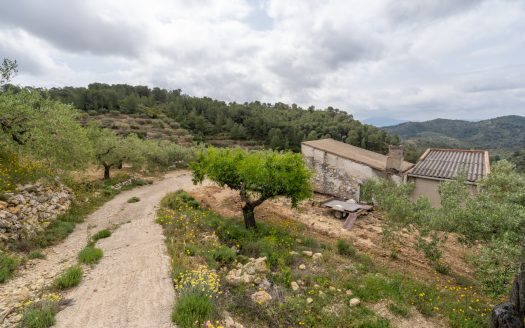 Property on top of a hill (353)
