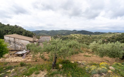 Property on top of a hill (353)