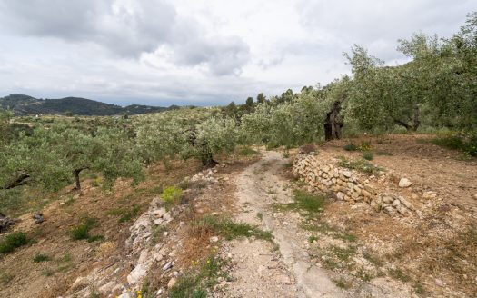 Property on top of a hill (353)