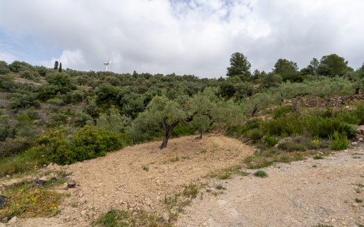 Property on top of a hill (353)
