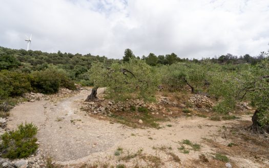 Property on top of a hill (353)