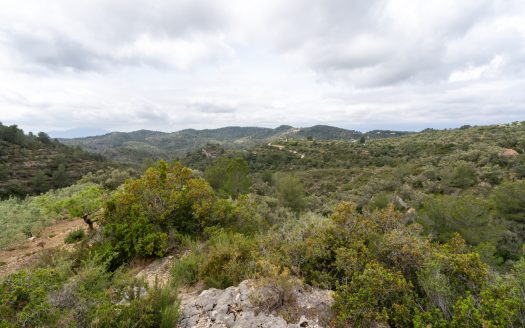 Property on top of a hill (353)