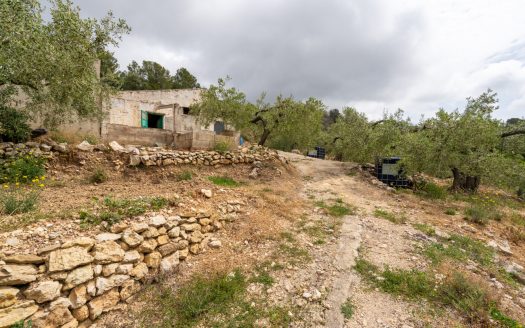 Property on top of a hill (353)