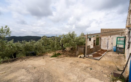 Property on top of a hill (353)