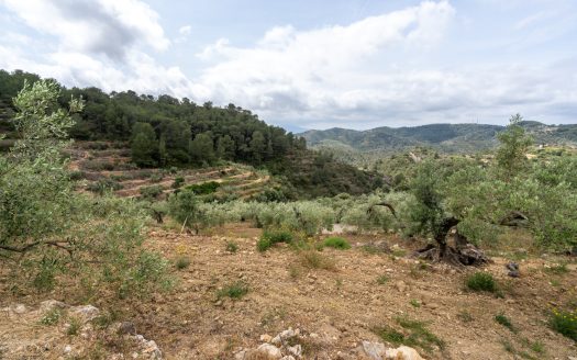 Property on top of a hill (353)