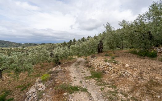 Property on top of a hill (353)