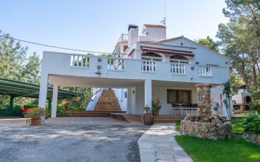 A fantastic project with endless possibilities (368)