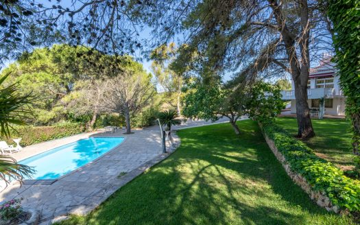 A fantastic project with endless possibilities (368)