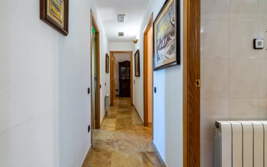 A fantastic project with endless possibilities (368)