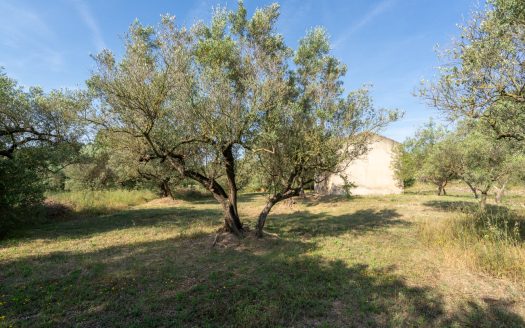Property with a two-storey farmhouse to renovate (369)