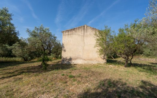 Property with a two-storey farmhouse to renovate (369)