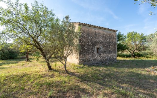 Property with a two-storey farmhouse to renovate (369)