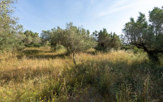 Property with a two-storey farmhouse to renovate (369)