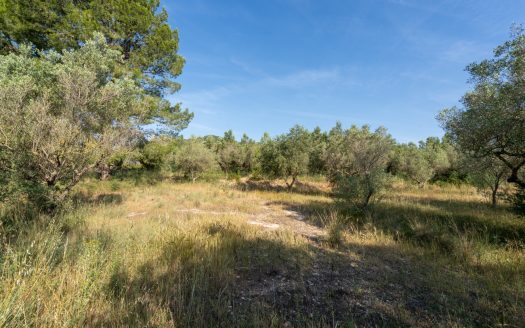 Property with a two-storey farmhouse to renovate (369)