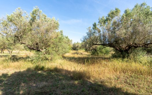 Property with a two-storey farmhouse to renovate (369)
