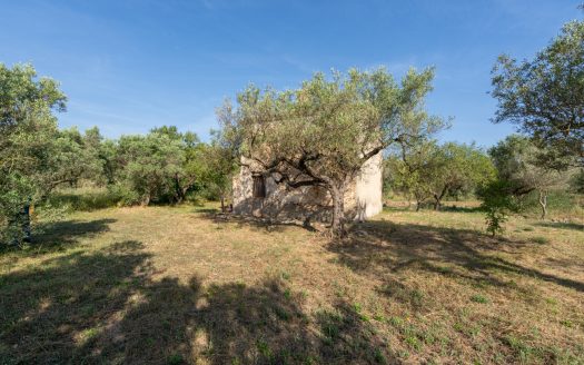 Property with a two-storey farmhouse to renovate (369)