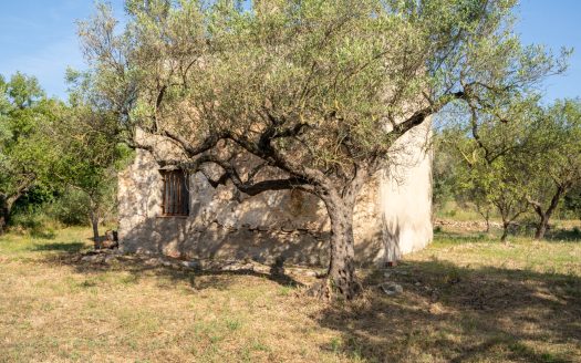 Property with a two-storey farmhouse to renovate (369)