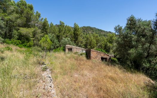With plans for a glamping project (370)