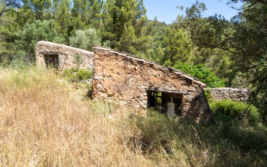 With plans for a glamping project (370)