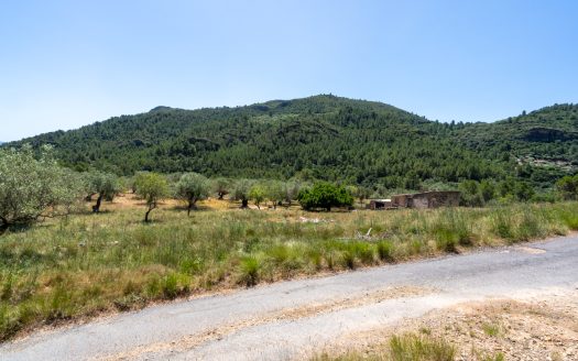 With plans for a glamping project (370)
