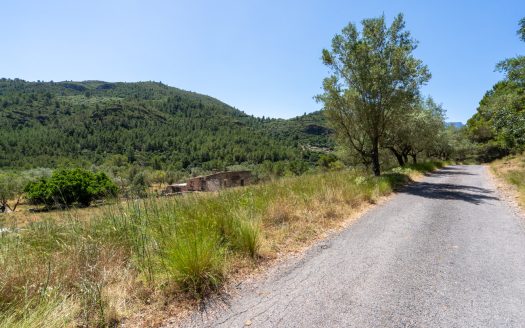 With plans for a glamping project (370)