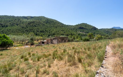 With plans for a glamping project (370)