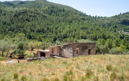 With plans for a glamping project (370)