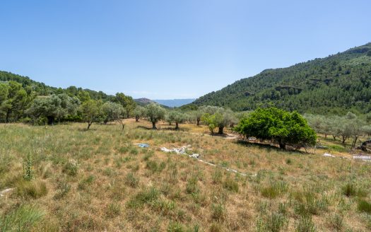 With plans for a glamping project (370)