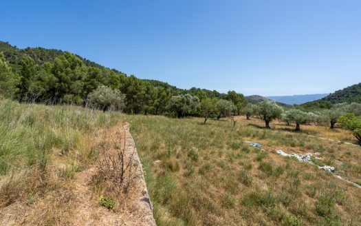 With plans for a glamping project (370)