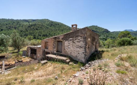 With plans for a glamping project (370)