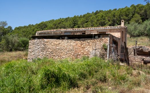 With plans for a glamping project (370)