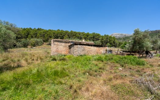 With plans for a glamping project (370)