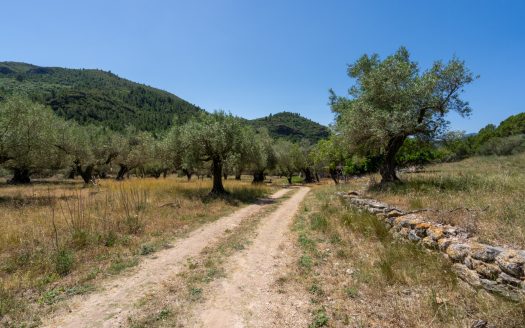 With plans for a glamping project (370)