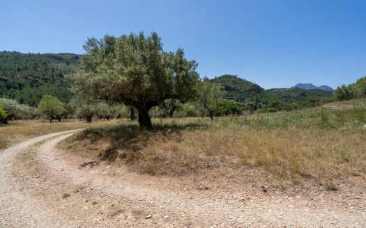 With plans for a glamping project (370)