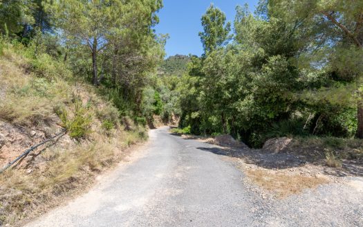 With plans for a glamping project (370)