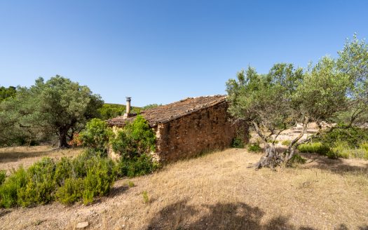 Lo Burgà (371)