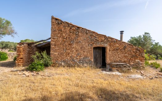 Lo Burgà (371)
