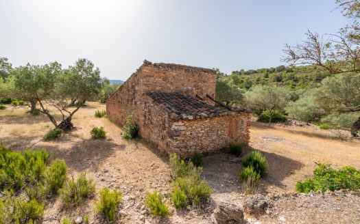 Lo Burgà (371)