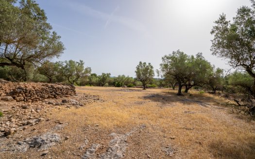 Lo Burgà (371)