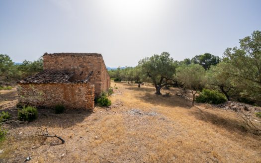 Lo Burgà (371)