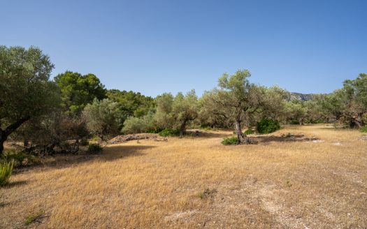 Lo Burgà (371)