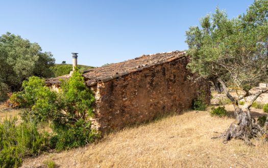 Lo Burgà (371)