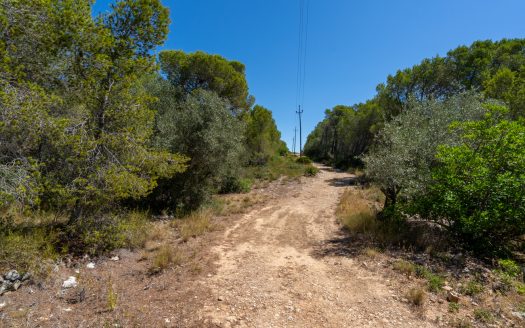 Land near the sea (373)