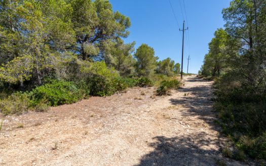 Land near the sea (373)