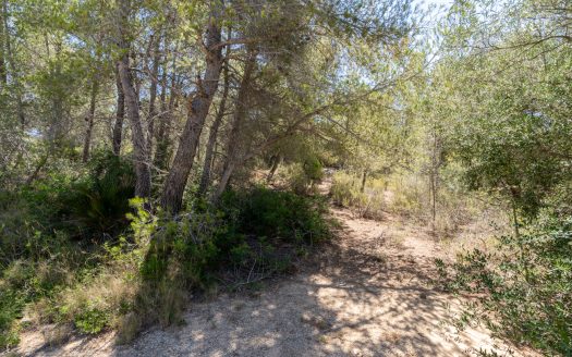 Land near the sea (373)