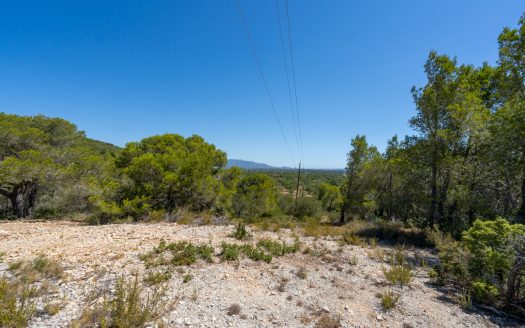 Land near the sea (373)