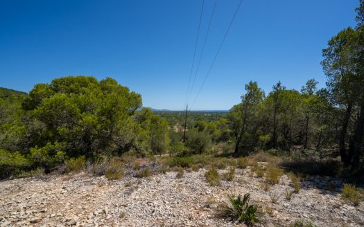 Land near the sea (373)