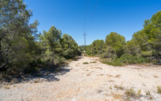 Land near the sea (373)