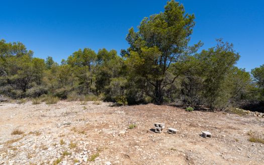 Land near the sea (373)